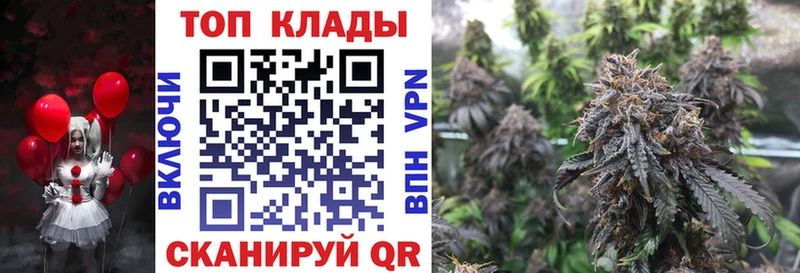 ГАШИШ Данилов