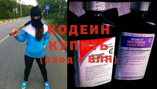 эйфоретик Ельня