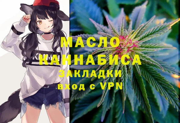 эйфоретик Ельня