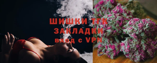 молекула духа Дмитров