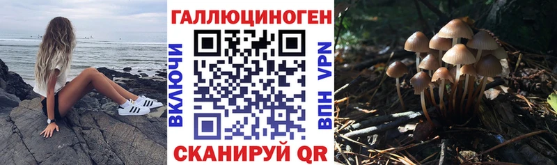 продажа наркотиков  Данилов  Псилоцибиновые грибы GOLDEN TEACHER 
