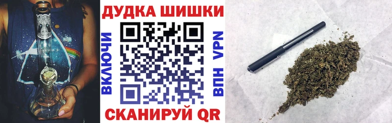 Конопля сатива  Данилов 